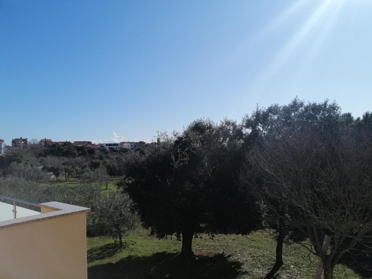 Vila Veronika 2 بولا المظهر الخارجي الصورة
